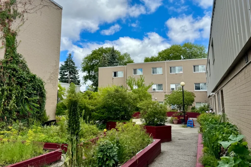 Garden between coop buildings