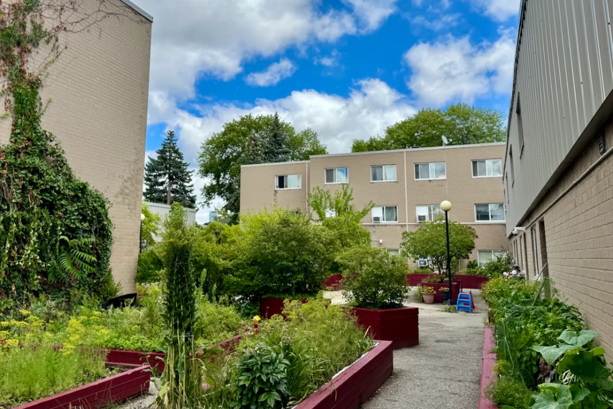Garden between coop buildings
