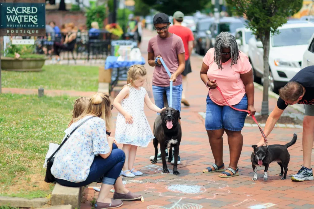 An all age group of people on a sidewalk with two dogs